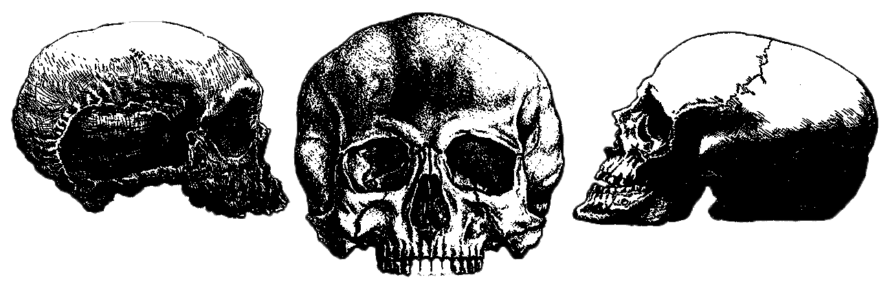 Animation Totenköpfe